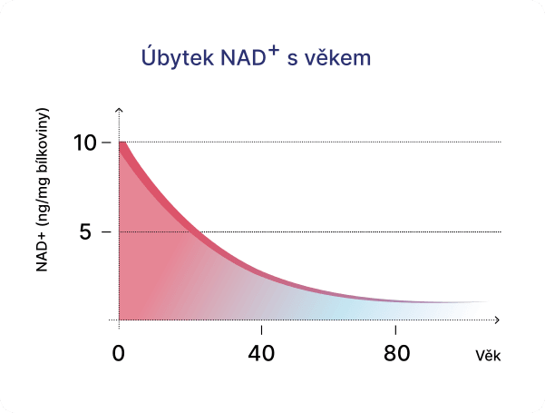 Úbytek NAD+ s věkem